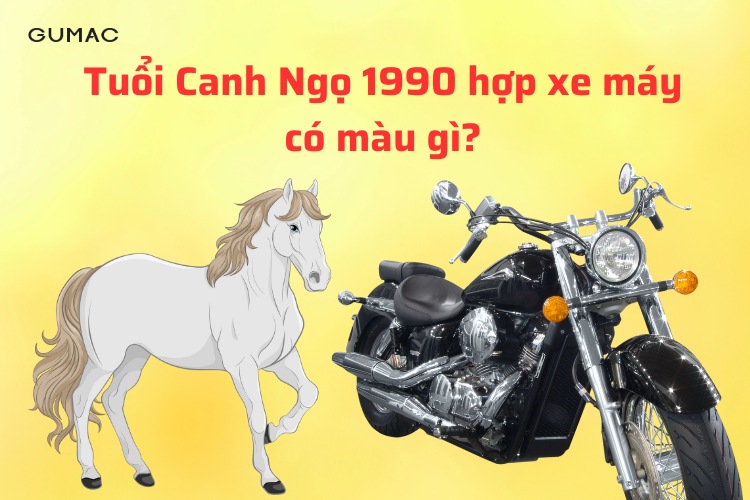 tuoi ngo hop xe may mau gi