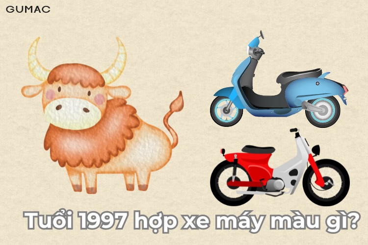 tuoi 1997 chay xe mau gi