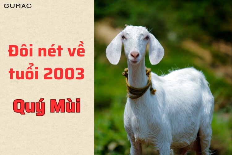 tuoi mui 2003 la nam con gi