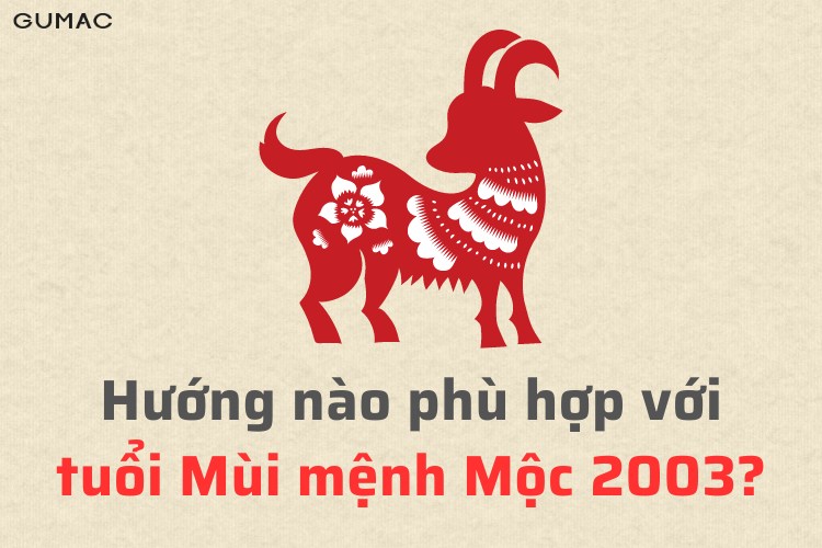 nguoi sinh nam 2003 tuoi Quy Mui hop huong nao