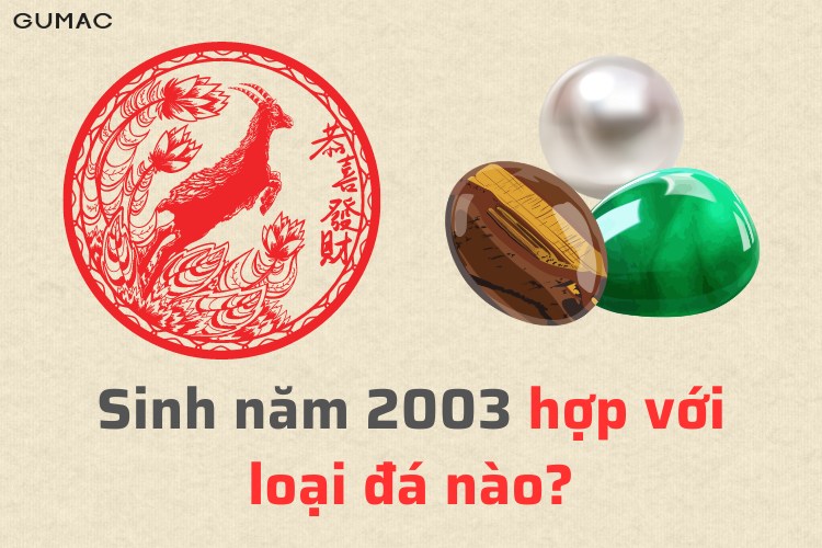 sinh nam quy mui 2003 hop voi loai da nao