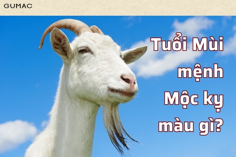 sinh nam 2003 menh moc ky mau gi