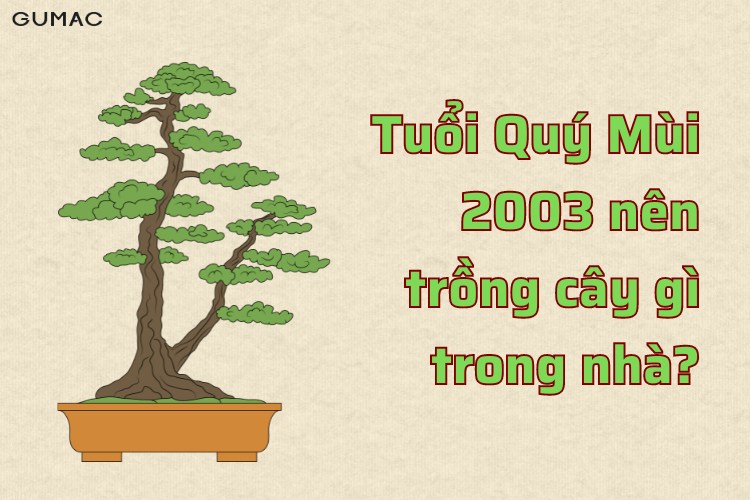 sinh nam 2003 menh moc trong cay gi