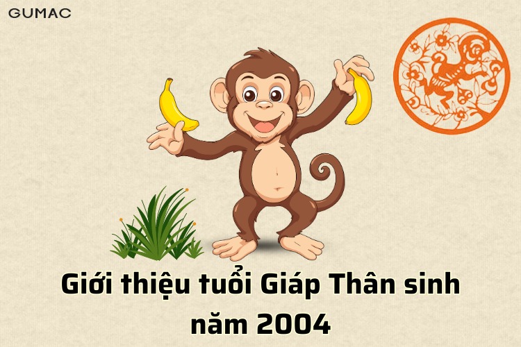 nam sinh 2004 menh gi cung gi