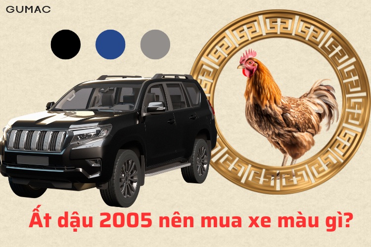 2005 nen mua xe mau gi