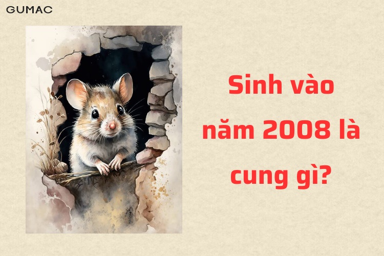 tuoi Ty sinh năm 2008 menh Hoa cung Kham Dong