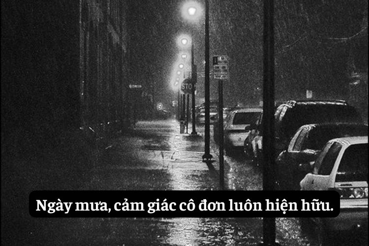 stt tam trang vao ngay mua