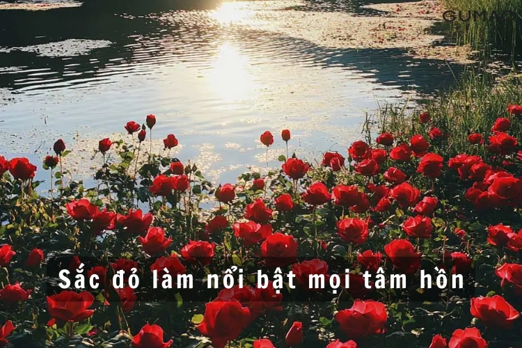 nhung cau noi hay ve mau do