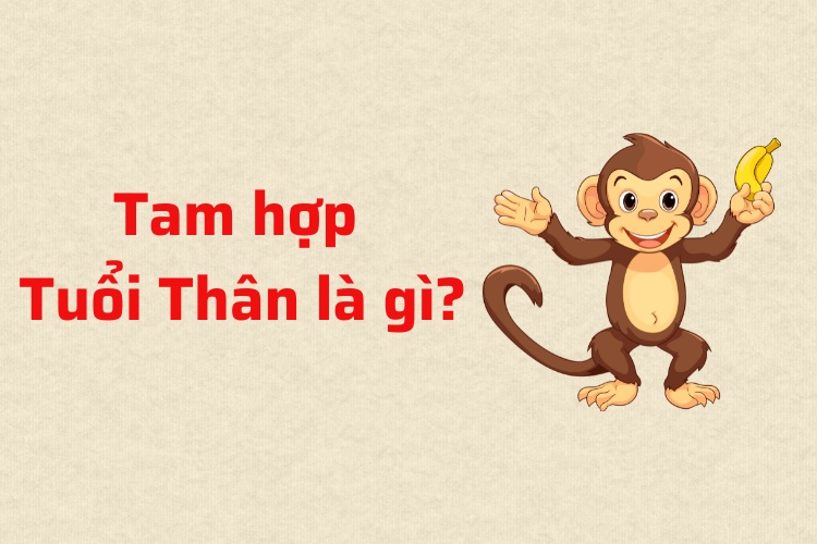 tam hop tuoi than la gi