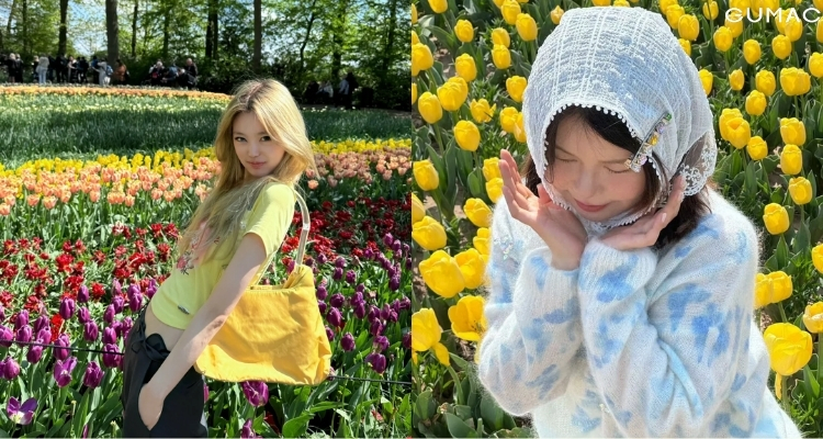 cach tao dang chup anh o vuon hoa tulip