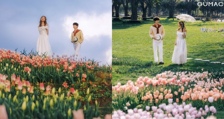 chup anh voi hoa tulip cap doi