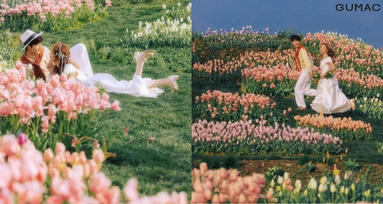 tao dang chup anh hoa tulip cung nguoi yeu