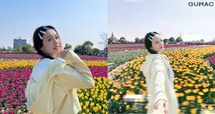 tao dang chup anh hoa tulip giua vuon