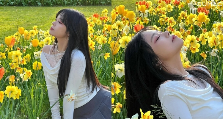 tao dang chup anh hoa tulip ven duong