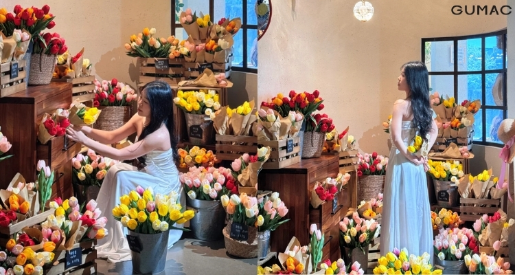 tao dang chup anh mua hoa tulip