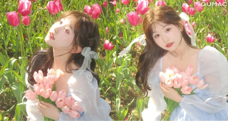 thoi diem chup anh hoa tulip dep
