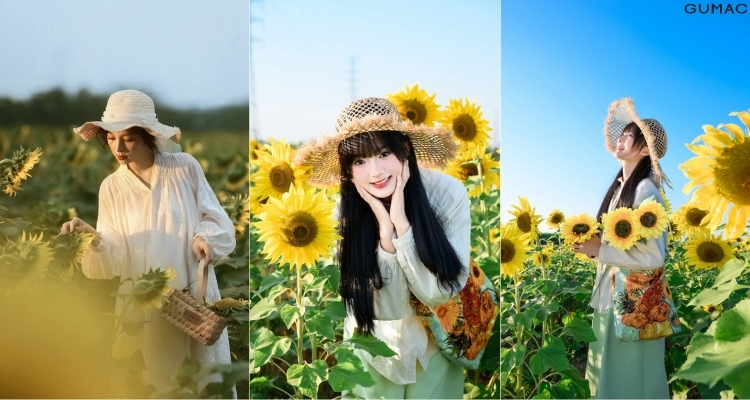 tao dang chup anh voi hoa huong duong