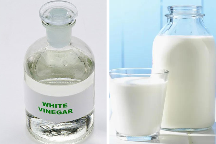 Dùng hỗn hợp giấm và sữa bò để tẩy vết ố vàng trên áo