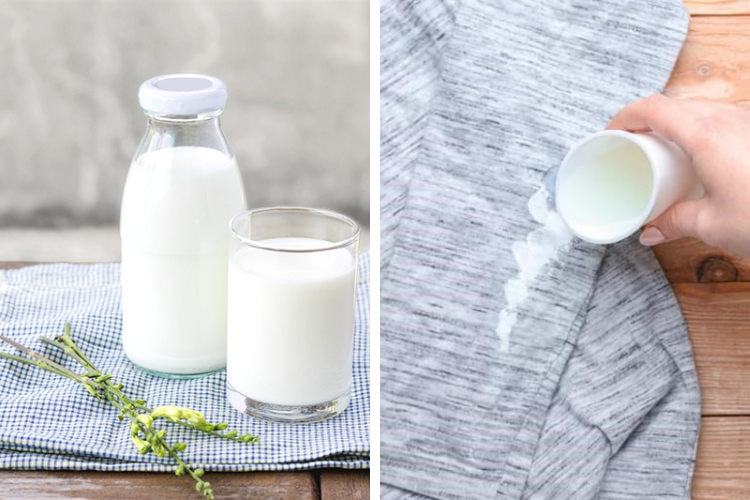Dùng sữa bò để tẩy vết ố vàng trên áo