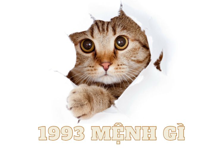 1963 mệnh gì