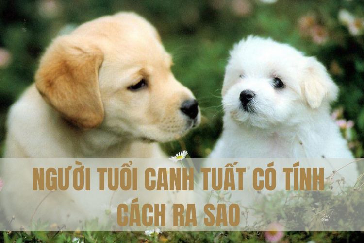 Nam - Nữ sinh năm 1970 có tính cách như thế nào?