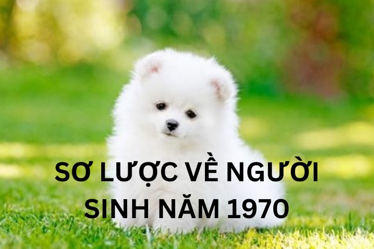Sơ lược về người sinh năm 1970