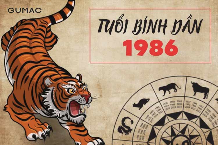 Sinh năm 1986 tuổi con gì?