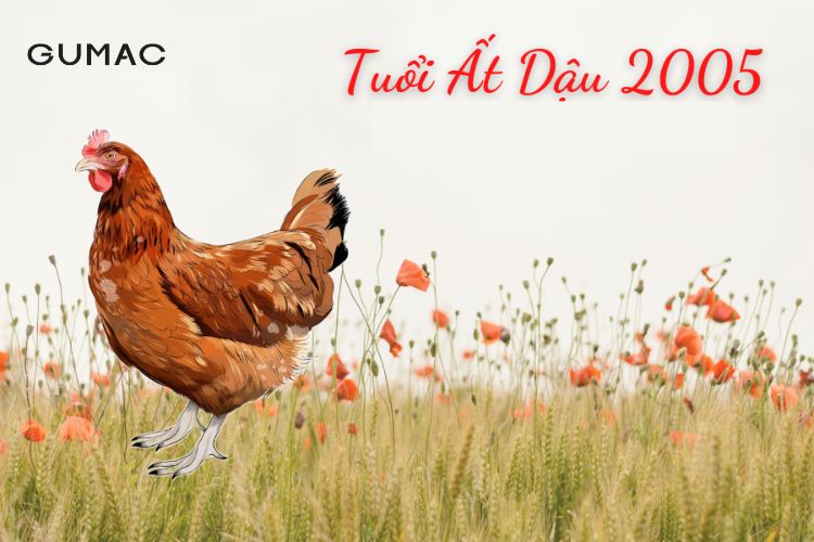 Những câu hỏi về người sinh năm Ất Dậu sinh năm 2005