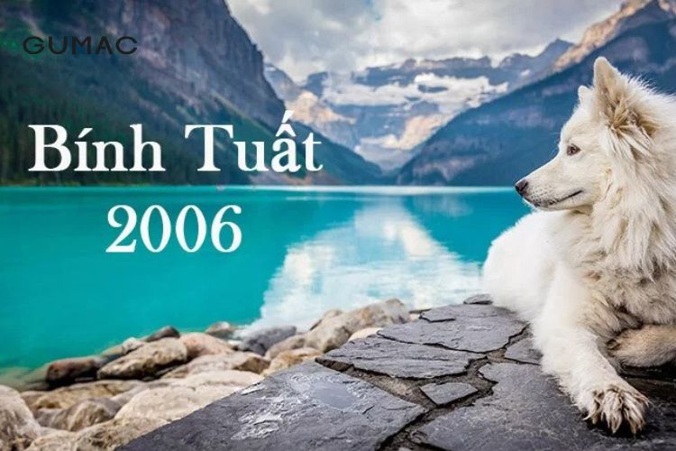 sinh nam binh tuat 2006