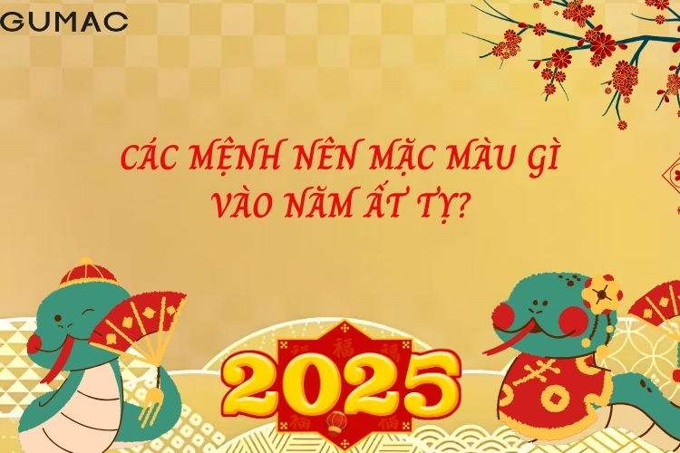 Cac menh nen mac mau gi vao nam At Ty