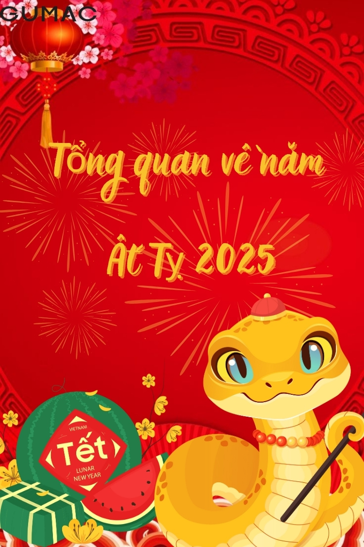 Tong quan ve nam At Ty 2025