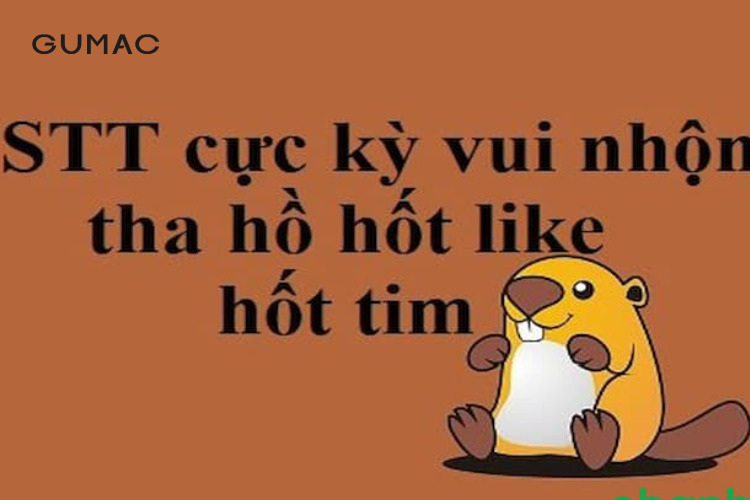 Tổng hợp caption hài hước cực BÁ ĐẠO hút tương tác siêu đỉnh Tổng hợp caption hài hước cực BÁ ĐẠO hút tương tác siêu đỉnh
