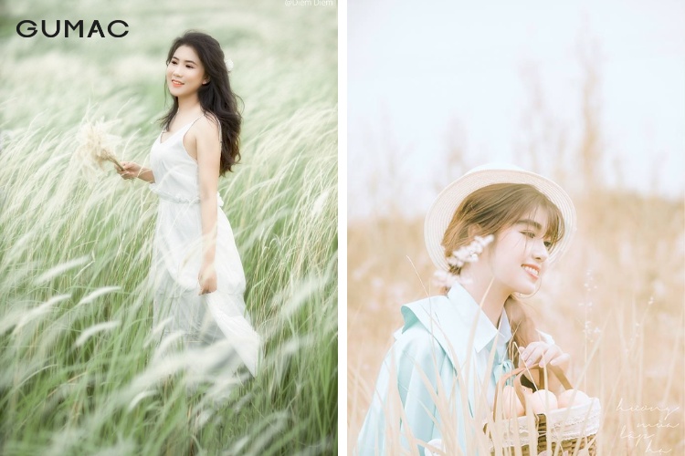 Thời tiết phù hợp để lên hình cùng cỏ lau Thời tiết phù hợp để lên hình cùng cỏ lau
