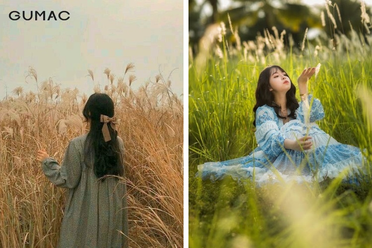 Top cách tạo dáng cùng với cỏ lau dành cho các nàng Top cách tạo dáng cùng với cỏ lau dành cho các nàng