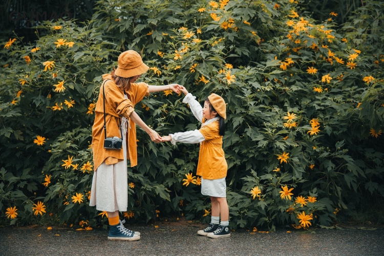 Tại sao giới trẻ thích chụp hình cùng hoa dã quỳ