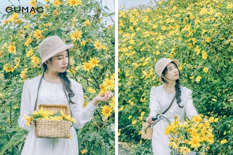 Cách tạo dáng cùng hoa dã quỳ xinh lung linh