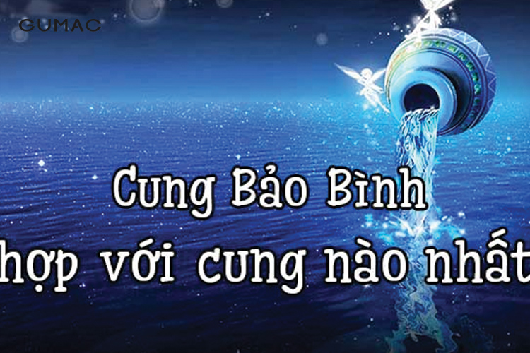  Bảo Bình hợp với cung nào