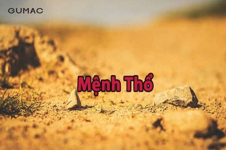 Người mệnh Thổ sinh năm nào?