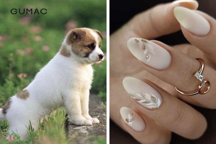 Những gam màu sơn móng tay cho nữ tuổi Tuất