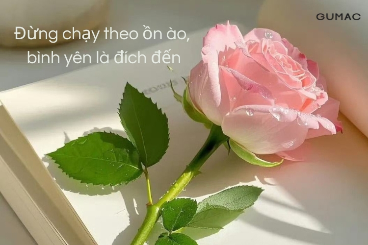 stt yeu doi chua lanh stt yeu doi sau chia tay&nbsp;