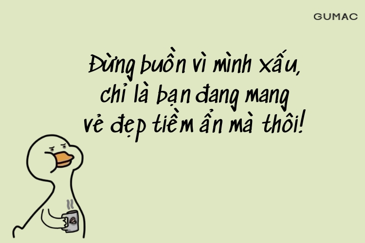 stt yeu doi hai huoc stt vui ve ngan stt vui ve tich cuc