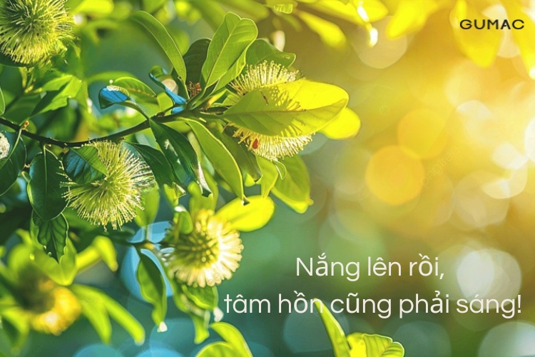 stt yeu doi yeu cuoc song