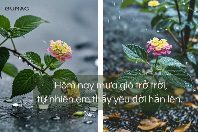 cau stt yeu doi yeu cuoc song hay