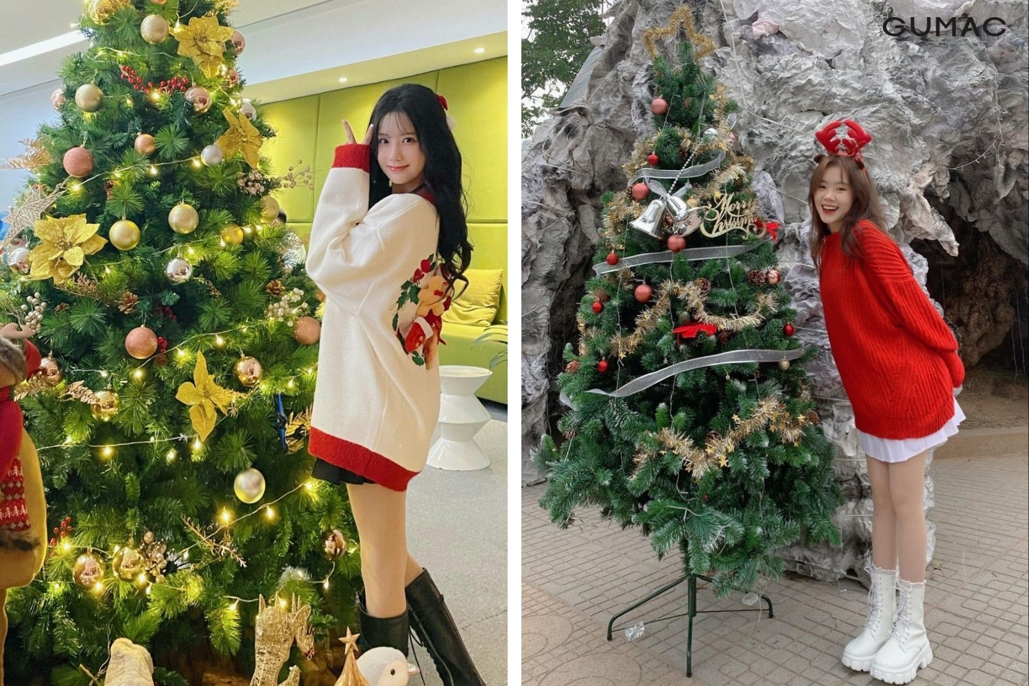 tao dang chup anh noel dung ben cay thong