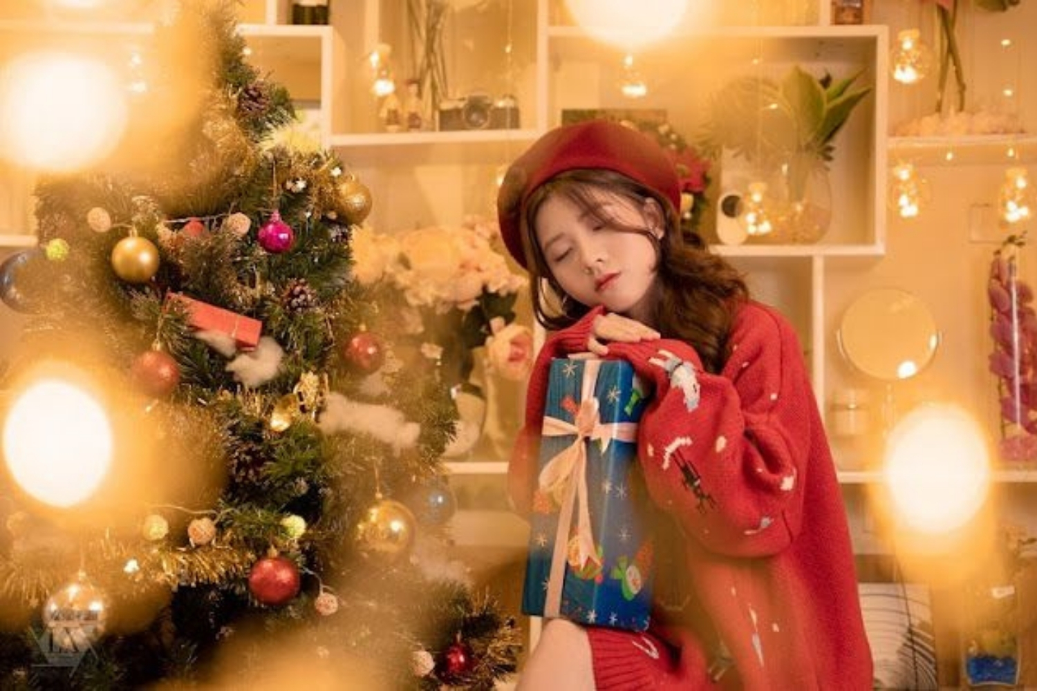 tao dang chup anh noel voi den led lung linh