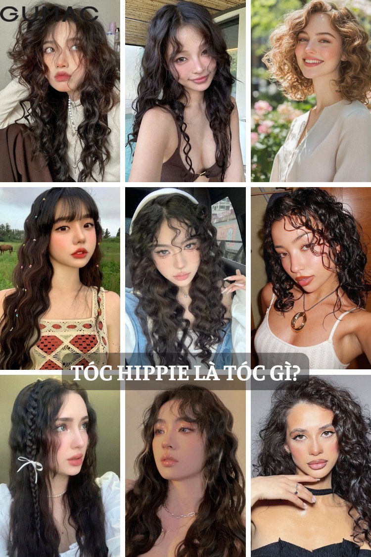 toc hippie la toc gi