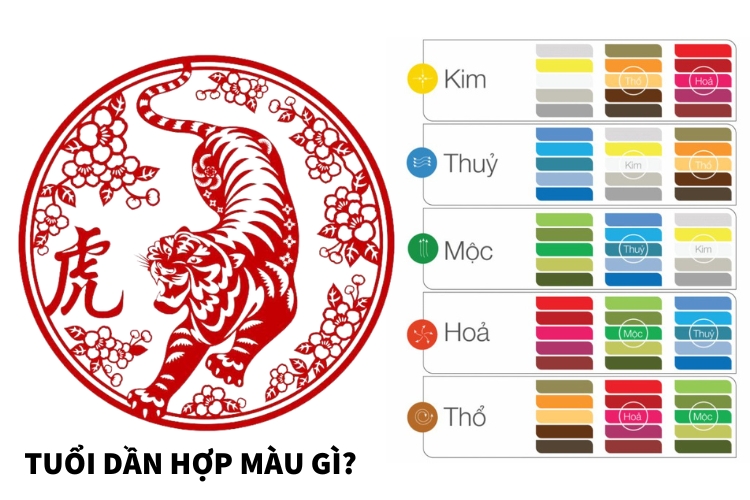 tuoi dan hop mau gi nam 2026
