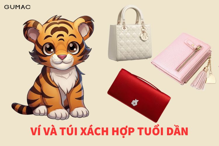 vi va tui xach hop tuoi dan
