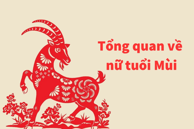 tong quan ve nu tuoi mui