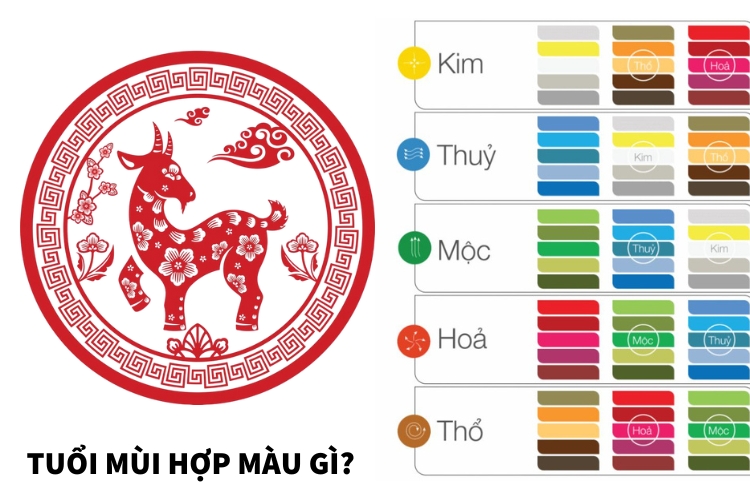 tuoi mui hop mau gi nam 2026
